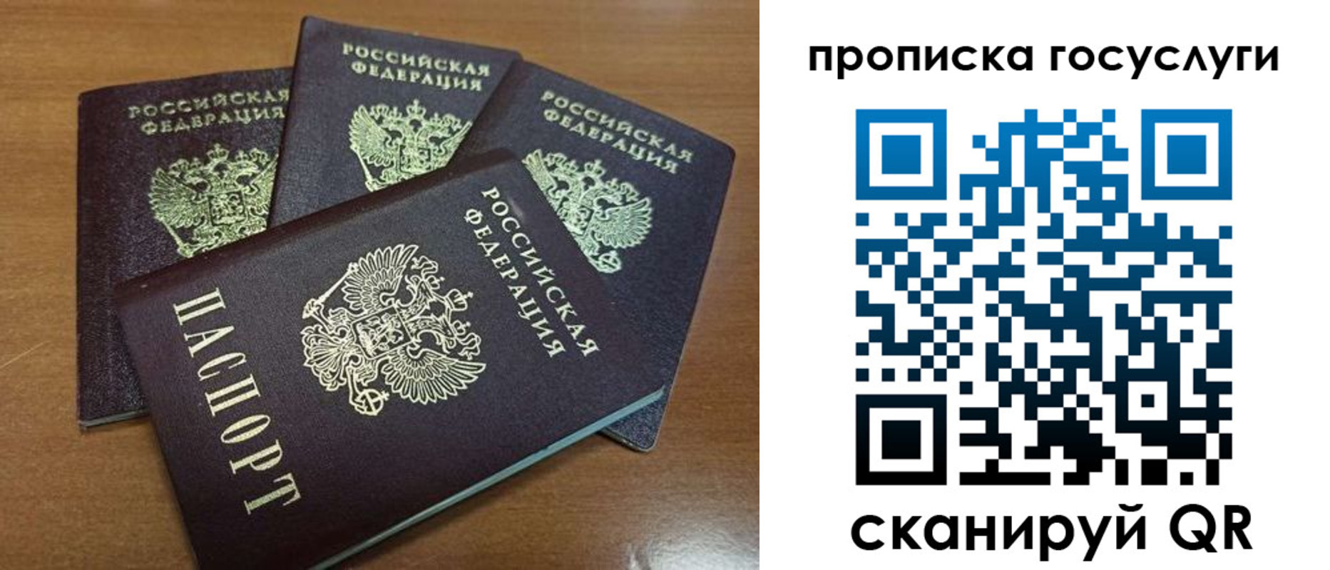 прописка 2025 в Купино