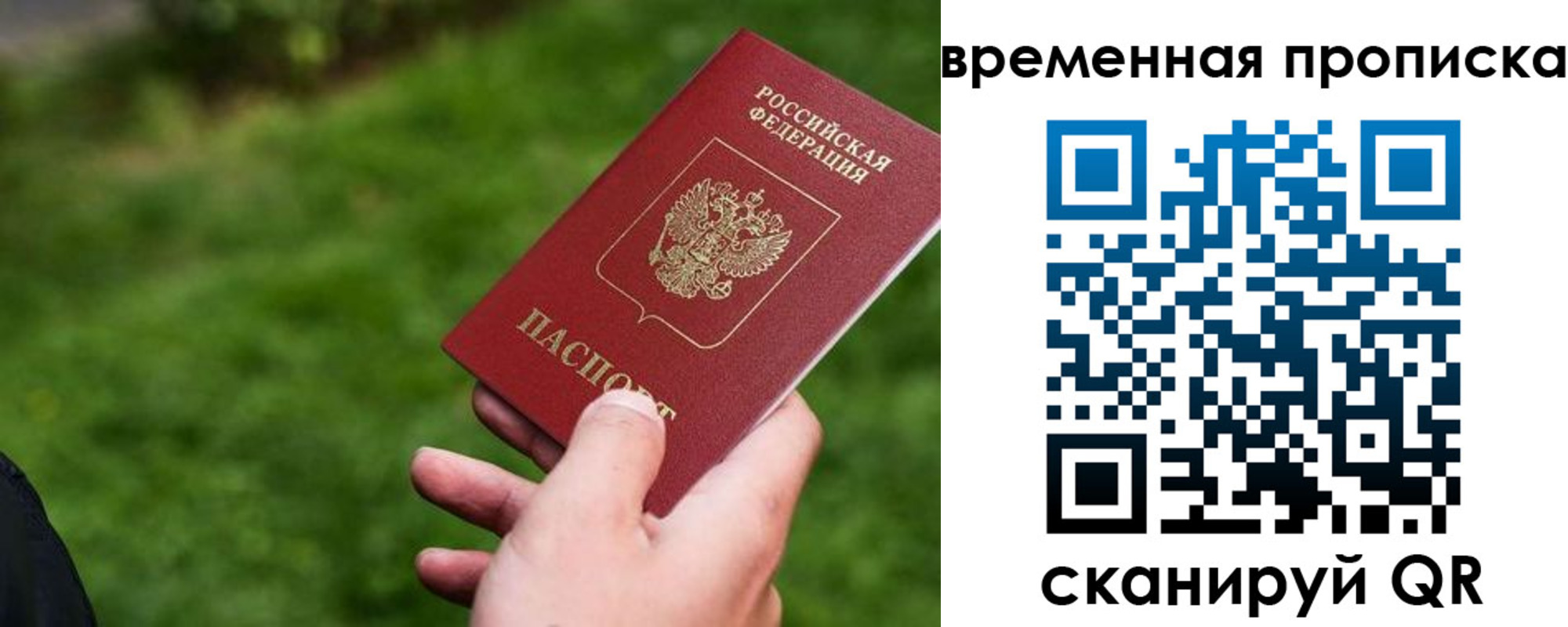 прописка 2025 в Купино